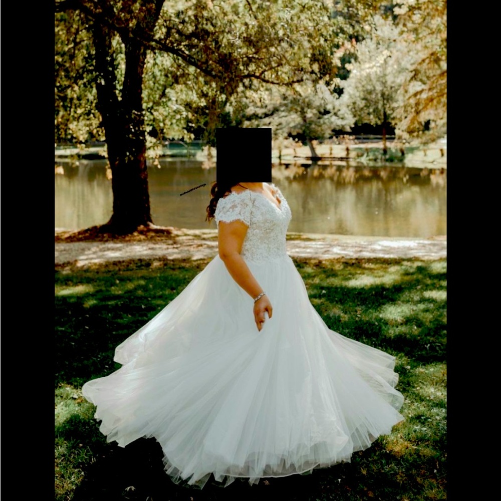 Adrianna Papell Platinum collection wedding dress